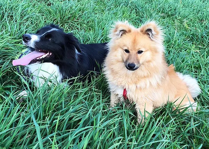 La Ferme Lejlighed Condé-sur-Noireau