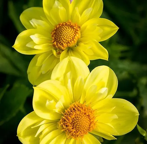 La Ferme Condé-sur-Noireau